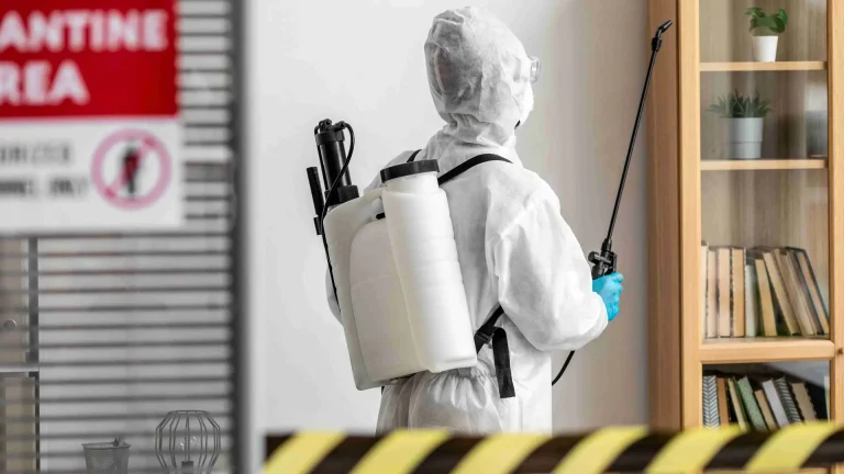 SEO for pest control companies
